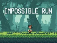 Impossible Run